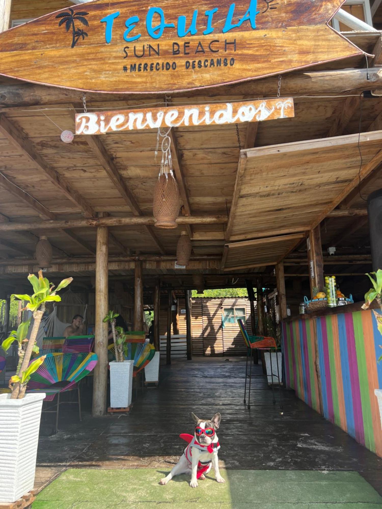 Tequila Sunbeach Baru Eco-Hotel Pendales Exterior foto