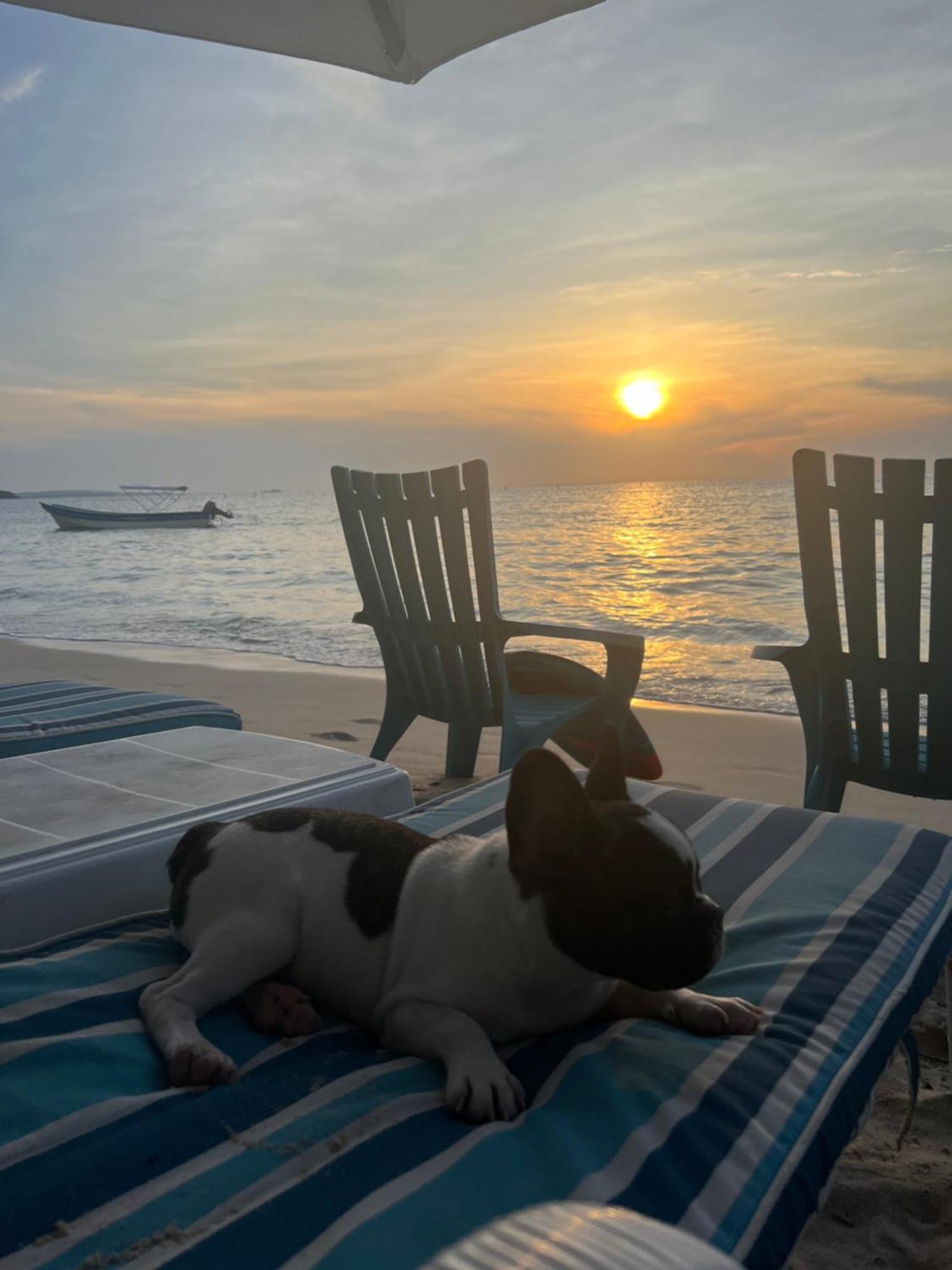 Tequila Sunbeach Baru Eco-Hotel Pendales Exterior foto